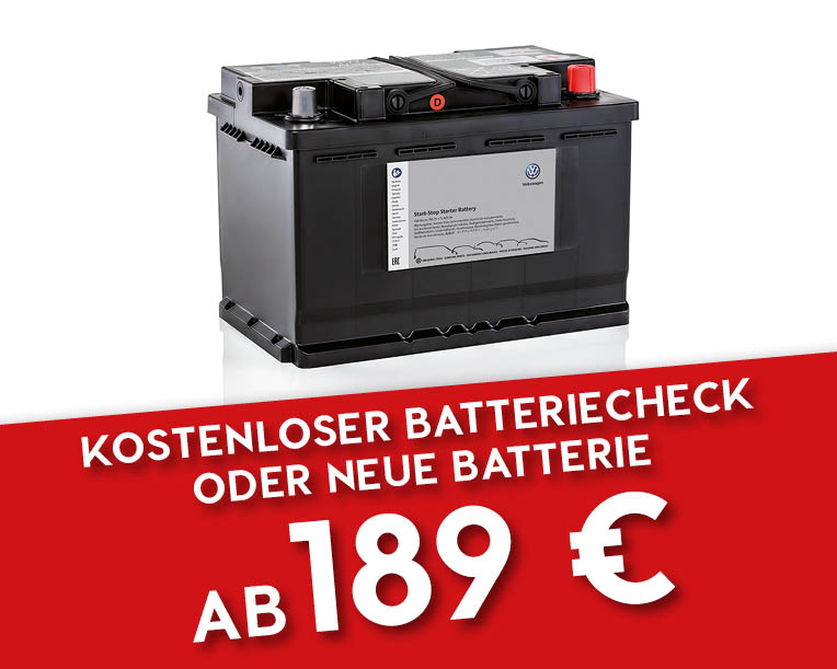 Herbstaktion - kostenloser Batteriecheck oder neue Batterie ab 189 €